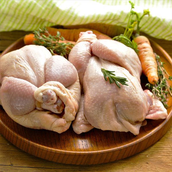 poussin-baby-chicken_600x
